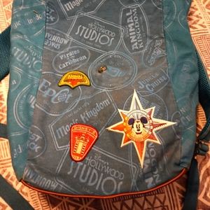 Disney World 4 parks bag